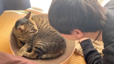 イケメンすぎる飼い主に何度もキスをされ女の顔になるメス猫…【てん動画】