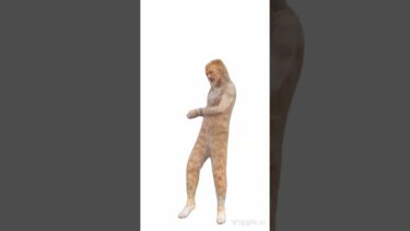 shortsやreel・TIKTOKとかで時々見る猫のダンス動画が気になって動画生成AIアプリで作ってみた。アレ?何か違う。ていうかこれミュージカルキャッツやん【感動猫動画】