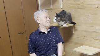 猫が大好きだったおじいちゃんが・・・【ひのき猫】