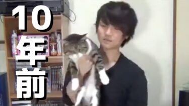 10年前の飼い主と実家猫ゴンちゃん…【てん動画】