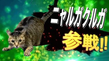 ブチギレ大暴れ凶暴猫全員参戦！！【てん動画】