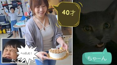 ママ40歳の誕生日をケーキで祝おう＆鳴き声で祝う灰色猫【kokesukepapa】