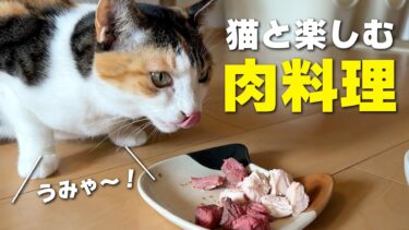 2024年もありがとうございました！クリスマスは豪華なお肉料理を猫たちにプレゼントしました！【ぽてとチャンネル】