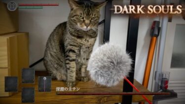 DARK SOULSより高難易度の絶対にクリアできない死にゲー【てん動画】