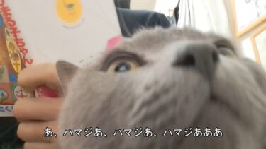 無題【kokesukepapa】